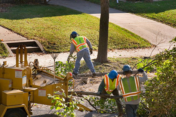 Best Lawn Watering Services  in Canyon Lake, TX